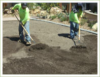 Raking mulch into top soil and leveling the ground