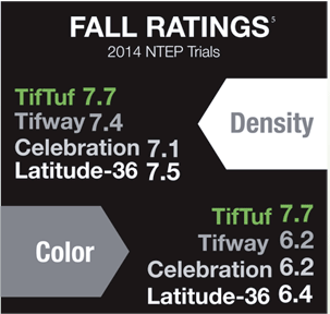 fall ratings